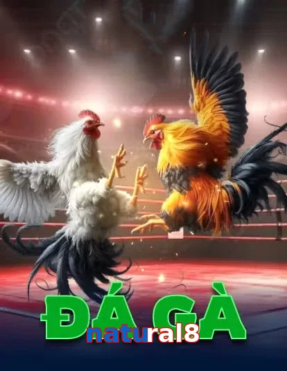 natural8